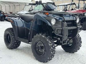 2025 KAWASAKI BRUTE FORCE 300