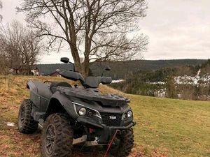 TGB BLADE 1000 V2 SEILWINDE AHK 4X4