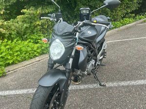 SUZUKI GLADIUS