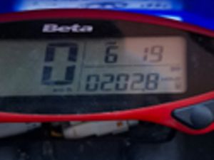 BETARR 390 RACE 2024