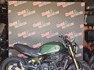 BENELLI LEONCINO 800