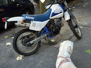 SUZUKI DR 125