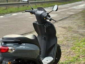 KISBEE STREETZONE 2017