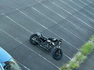 HARLEY DAVIDSON SPORTSTER 48 FORTY EIGHT MILLER AUSPUFF