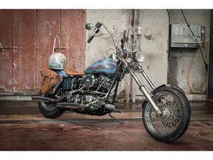 SHOVELHEAD