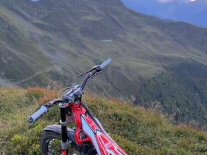 BETA EVO 300 FACTORY