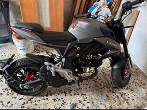 LEM BRUTUS 110 CON MOTORE 140 MANUALE