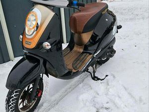 TAURIS PICCADILLY 50 (VIELE NEU TEILE)