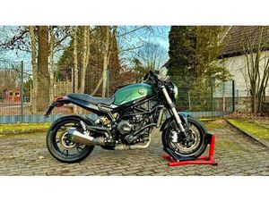 BENELLI LEONCINO 800