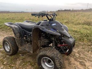 QUAD ADLY FOX 50
