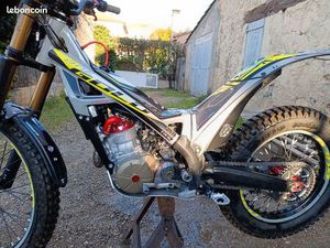 TRS GOLD 300 CC 2024