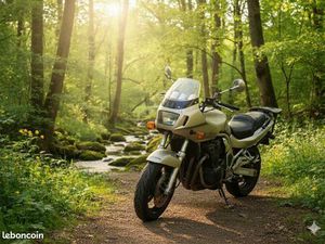 SUZUKI 1200 BANDIT S