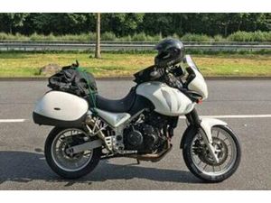 TRIUMPH TIGER 955I ADVENTURE TOURING INCL KOFFERS & TOMTOM — MOTOREN | TRIUMPH — MARKTPLAATS