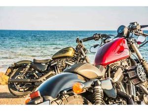 HARLEY DAVIDSON - IRON 883 SPORTER