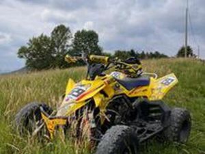 SUZUKI ALTRO MODELLO - 2011