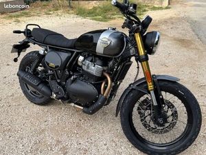 650 BEAR ROYAL ENFLIED