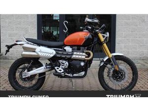 VENDO TRIUMPH SCRAMBLER 1200 XE (2024 - 25) USATA A DOGLIANI (CODICE 9925111) - MOTO.IT