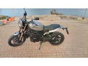 BENELLI LEONCINO 800 - 2022