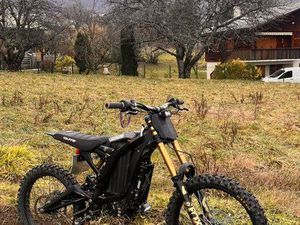 SURRON LIGHT BEE 2024