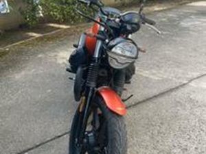 MOTO GUZZI V7 IV - 2022