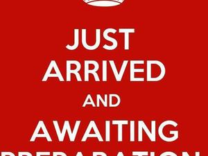 CAN-AM RYKER 900 ACE RALLY ED CVT EURO 4 899 CC