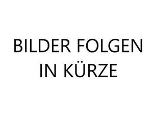 DUCATI X DIAVEL XDIAVEL S SONDERLACKIERUNG! EINZELSTÜCK