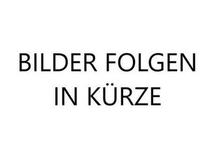 DUCATI X DIAVEL XDIAVEL S SONDERLACKIERUNG! EINZELSTÜCK