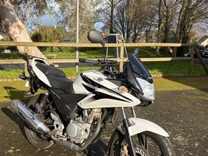 HONDA CBF125 - TOP CASE - MOTO