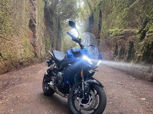 TRIUMPH - TIGER SPORT 660 (A2)