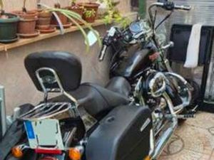 HARLEY DAVIDSON - CUSTOM