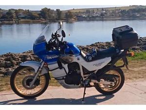 HONDA - TRANSALP 600