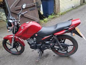 YAMAHA, YBR, 2010, 124 (CC)