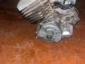 MOTORE MALAGUTI GRIZZLY