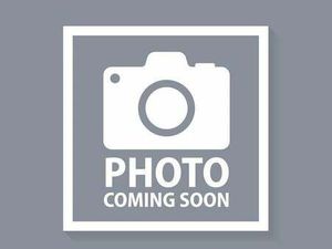 ROYAL ENFIELD METEOR 350 EURO 5 349 CC