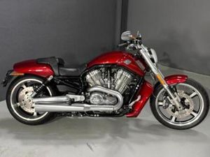HARLEY DAVIDSON - VRSC V-ROD MUSCLE