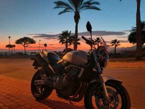 HONDA - CB 600 HORNET