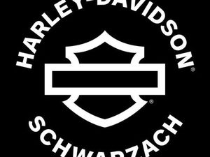 HARLEY-DAVIDSON SOFTAIL STANDARD FXST TOP / SOZIUS / SISSY BAR