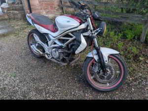 SUZUKI, SFV, 2010, 645 (CC)