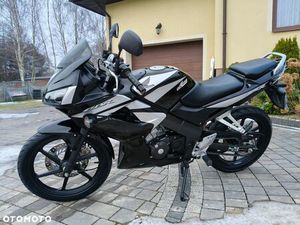 HONDA CBR