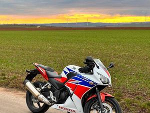 HONDA CBR 300R A2-TAUGLICH 31 PS NUR 7.500KM TÜV 08/2025