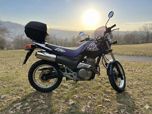 HONDA SLR 650 TOP ZUSTAND ♦️