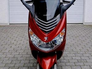 PEUGEOT ELYSTAR 2 TAKT 45ER ZUVERLÄSSIG & GEPFLEGT LIEFERBAR TOP