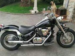 SUZUKI - INTRUDER VL 1500