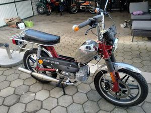 KREIDLER FLORY MIT EINGETRAGENEN 10PS