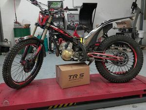 280 TRS GOLD 2022