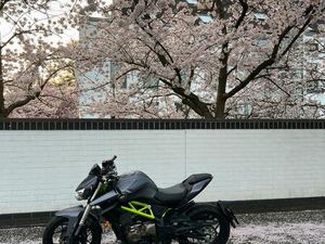 QJ MOTOR SRK 400 TÜV NEU