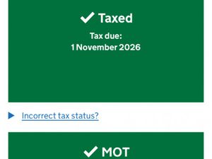 BENELLI, BN, 2021, 125 (CC)