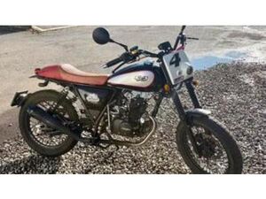 DIRT TRACK 50 (2018 - 20)