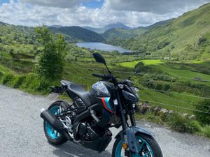 YAMAHA, MT-125, 2023, 124 (CC)