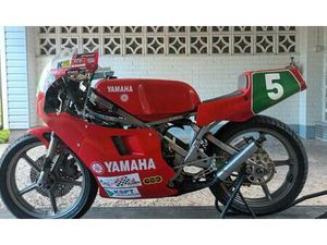 YAMAHA TZ250 1984 DERBY RACING SERVICES RAHMEN RENNMASCHINE